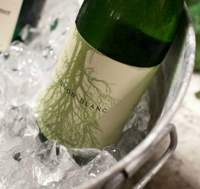 Party Problem Solved How to Chill Wine Fast {Salt Water Ice Bath