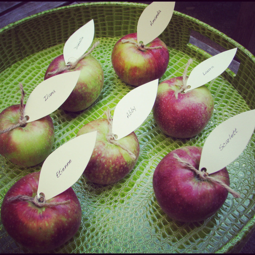DIY Apple Place Cards {Fall Party Ideas}