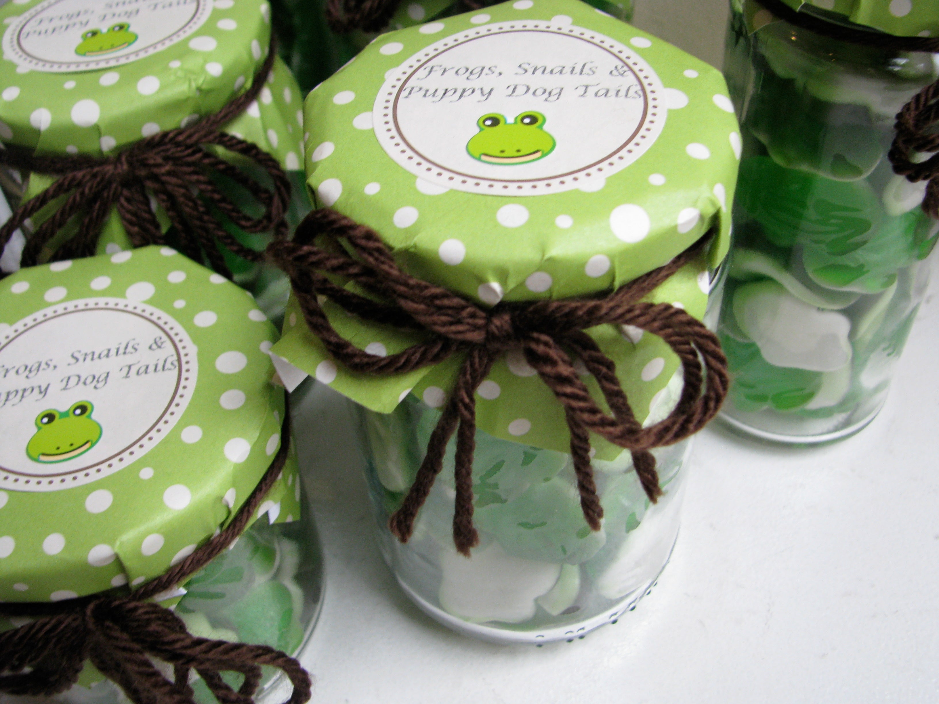  DIY  :: Frog Party Favors