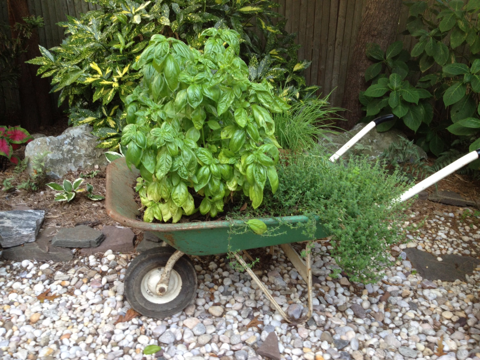  DIY  :: Reclaimed Wheelbarrow Container Herb Garden